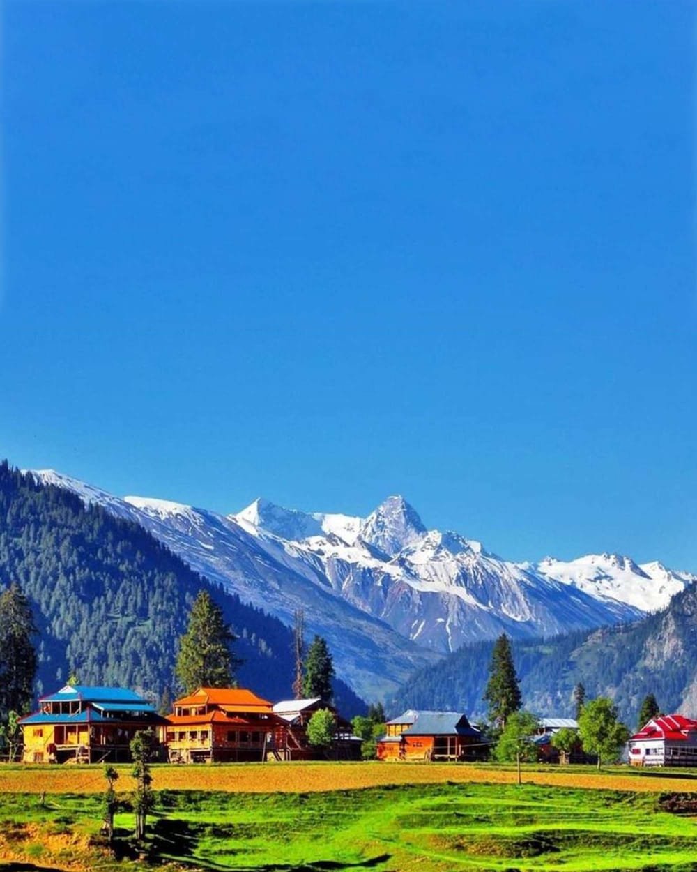 7 Days Dharamshala Dalhousie & Amritsar Tour